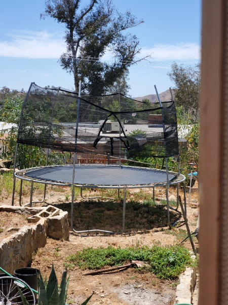 Trampoline