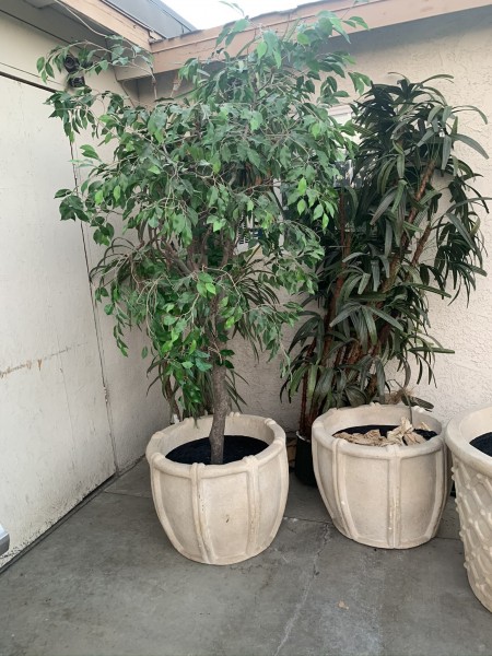 Furniture sale